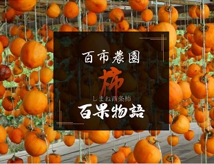 百市農園 百市農園